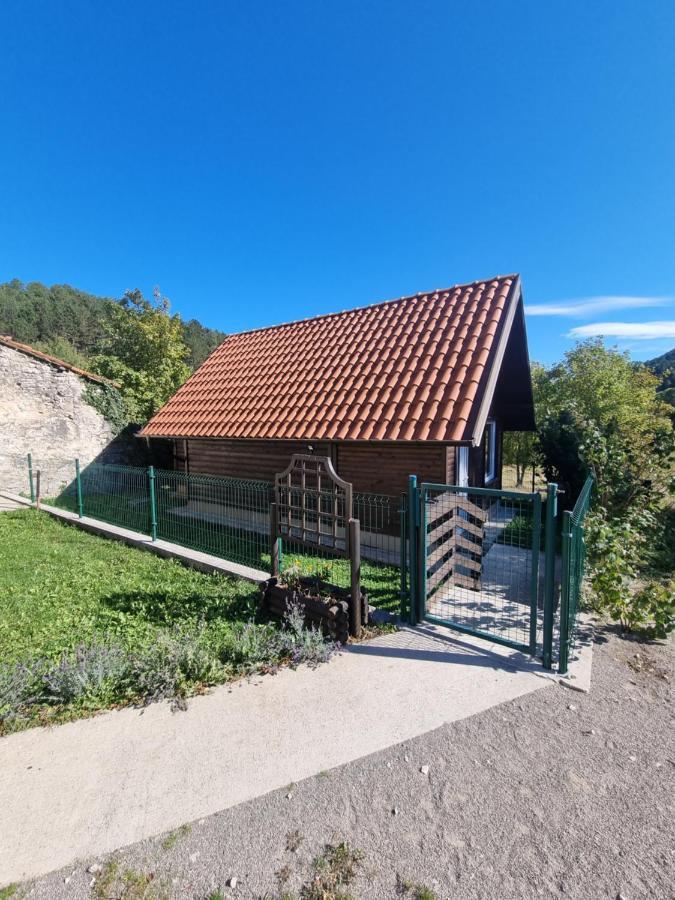 Hotel Dobra Hisa Zdravja Cicarija Golac Exterior foto