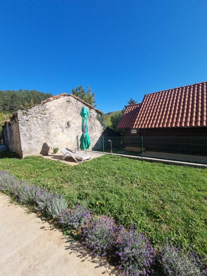 Hotel Dobra Hisa Zdravja Cicarija Golac Exterior foto